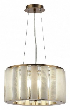 Подвесной светильник ST-Luce Delight SL1516.303.06 в Тавде - tavda.mebel24.online | фото 3
