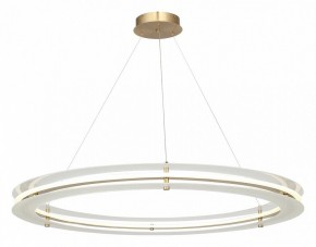 Подвесной светильник ST-Luce FAGY SL6245.213.01 в Тавде - tavda.mebel24.online | фото 4
