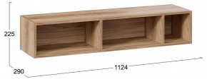 Полка навесная ТД-102.28 в Тавде - tavda.mebel24.online | фото 9