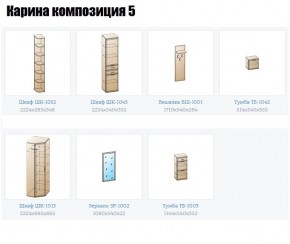 Прихожая Карина (модульная) в Тавде - tavda.mebel24.online | фото 2