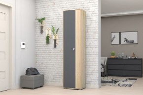 Прихожая Монако-2 (Дуб Сонома/Графит) в Тавде - tavda.mebel24.online | фото 11