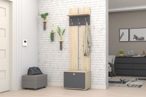 Прихожая Монако-2 (Дуб Сонома/Графит) в Тавде - tavda.mebel24.online | фото 2