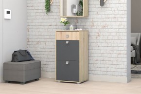 Прихожая Монако-2 (Дуб Сонома/Графит) в Тавде - tavda.mebel24.online | фото 8