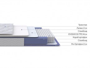 PROxSON Матрас Active Duo S/F (Ткань Трикотаж Эко) 160x190 в Тавде - tavda.mebel24.online | фото 3