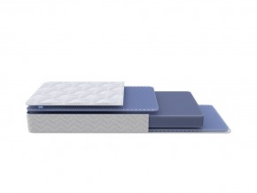 PROxSON Матрас Active Flex M (Ткань Трикотаж Эко) 80x195 в Тавде - tavda.mebel24.online | фото 1