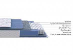 PROxSON Матрас Active M Roll (Ткань Трикотаж Эко) 80x200 в Тавде - tavda.mebel24.online | фото 2
