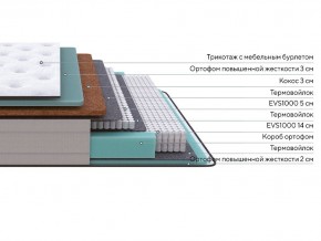 PROxSON Матрас Elysium Firm (Трикотаж Spiral-RT) 80x200 в Тавде - tavda.mebel24.online | фото 2
