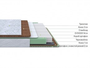 PROxSON Матрас Green Duo M/F (Tricotage Dream) 80x200 в Тавде - tavda.mebel24.online | фото 1