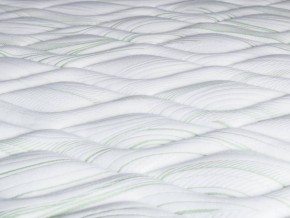 PROxSON Матрас Green S (Tricotage Dream) 160x200 в Тавде - tavda.mebel24.online | фото 9