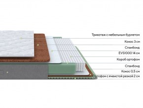 PROxSON Матрас Lux Duo M/F (Non-Stress) 120x200 в Тавде - tavda.mebel24.online | фото 3