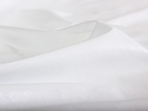 PROxSON Защитный чехол Aqua Save Light Top (Ткань влагостойкая Tencel Jersey) 160x190 в Тавде - tavda.mebel24.online | фото 4