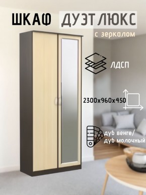 Шкаф 2-х створчатый Дуэт Люкс с зеркалом в Тавде - tavda.mebel24.online | фото 1