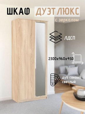 Шкаф 2-х створчатый Дуэт Люкс с зеркалом в Тавде - tavda.mebel24.online | фото 7