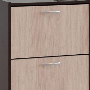 Шкаф для обуви ТО-24 в Тавде - tavda.mebel24.online | фото 4