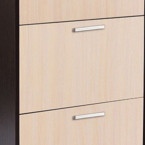 Шкаф для обуви УК-4 в Тавде - tavda.mebel24.online | фото 2