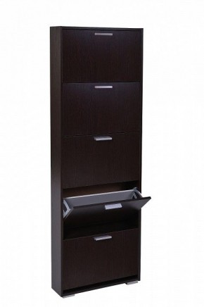 Шкаф для обуви УК-5 10000130 в Тавде - tavda.mebel24.online | фото