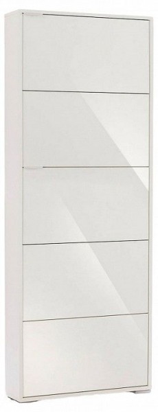 Шкаф для обуви Viva-5S в Тавде - tavda.mebel24.online | фото