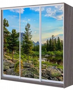 Шкаф-купе ХИТ 22-20/2-777 ПРИРОДА в Тавде - tavda.mebel24.online | фото