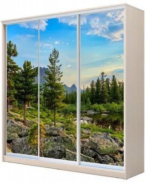 Шкаф-купе ХИТ 22-20-777 ПРИРОДА в Тавде - tavda.mebel24.online | фото