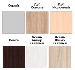 Шкаф-купе ХИТ 22-4-14-11 (420) в Тавде - tavda.mebel24.online | фото 5