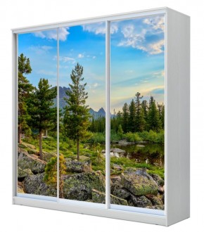 Шкаф-купе ХИТ 22-4-18-777 (420) в Тавде - tavda.mebel24.online | фото 1
