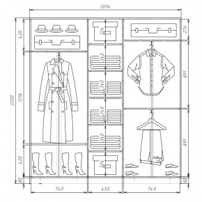 Шкаф-купе ХИТ 22-4-20-555 (420) в Тавде - tavda.mebel24.online | фото 2