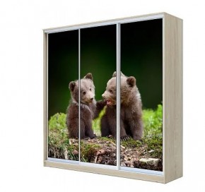 Шкаф-купе ХИТ 22-4-20-777 МЕДВЕЖАТА в Тавде - tavda.mebel24.online | фото