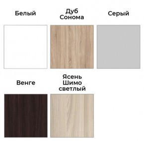 Шкаф-купе ХИТ 23-24/2-7777 (620) в Тавде - tavda.mebel24.online | фото 2