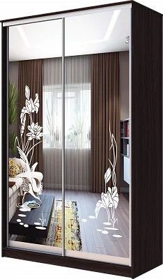 Шкаф-купе ХИТ 23-4-12/2-66 ЦАПЛИ в Тавде - tavda.mebel24.online | фото