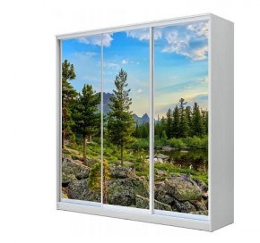 Шкаф-купе ХИТ 23-4-20-777 (420) в Тавде - tavda.mebel24.online | фото 1