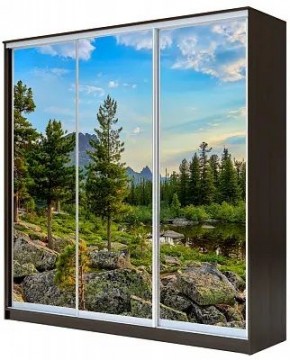 Шкаф-купе ХИТ 23-4-20-777 ПРИРОДА в Тавде - tavda.mebel24.online | фото