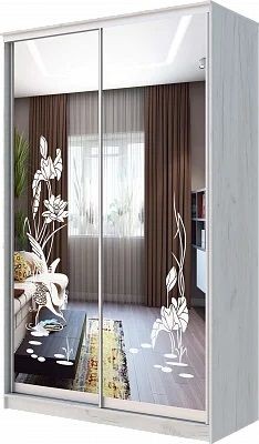 Шкаф-купе ХИТ 24-14-66 ЦАПЛИ в Тавде - tavda.mebel24.online | фото