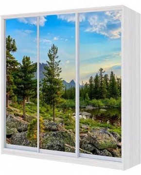 Шкаф-купе ХИТ 24-18/2-777 ПРИРОДА в Тавде - tavda.mebel24.online | фото