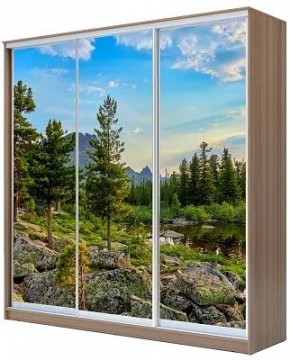 Шкаф-купе ХИТ 24-20/2-777 ПРИРОДА в Тавде - tavda.mebel24.online | фото
