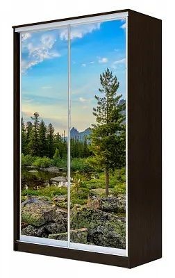 Шкаф-купе ХИТ 24-4-14-77 ПРИРОДА в Тавде - tavda.mebel24.online | фото