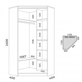 Шкаф-купе ХИТ-У-24-4-55 в Тавде - tavda.mebel24.online | фото 3