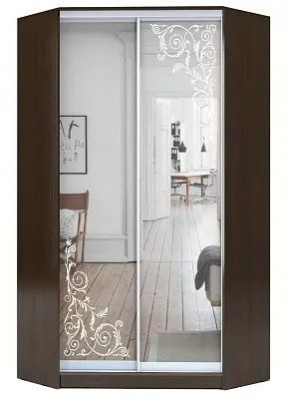 Шкаф-купе ХИТ-У-R-22-64-66 ОРНАМЕНТ в Тавде - tavda.mebel24.online | фото