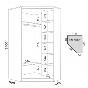 Шкаф-купе ХИТ-У-R-24-64-88 в Тавде - tavda.mebel24.online | фото 3