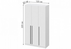 Шкаф платяной Бирма ШК-1200 в Тавде - tavda.mebel24.online | фото 4
