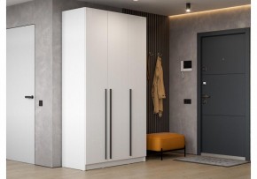 Шкаф платяной Бирма ШК-1200 в Тавде - tavda.mebel24.online | фото 5