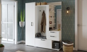 Шкаф платяной Эрика в Тавде - tavda.mebel24.online | фото 3