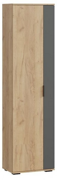 Шкаф платяной Эвита в Тавде - tavda.mebel24.online | фото