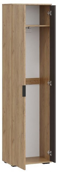 Шкаф платяной Эвита в Тавде - tavda.mebel24.online | фото 2