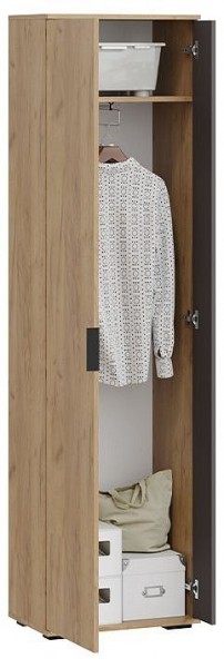 Шкаф платяной Эвита в Тавде - tavda.mebel24.online | фото 3