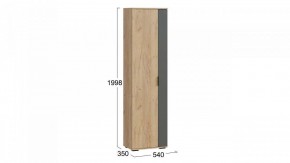 Шкаф платяной Эвита в Тавде - tavda.mebel24.online | фото 4