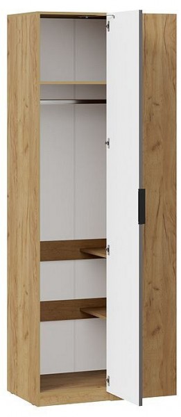 Шкаф платяной Хилтон в Тавде - tavda.mebel24.online | фото 2