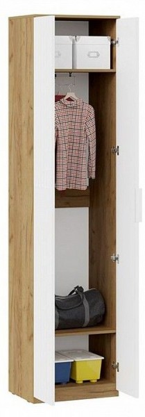 Шкаф платяной Хилтон Исп. 2 в Тавде - tavda.mebel24.online | фото 3