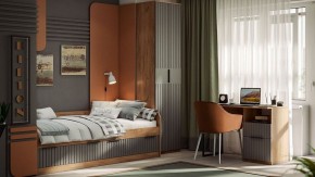 Шкаф платяной Хилтон Исп. 2 в Тавде - tavda.mebel24.online | фото 5