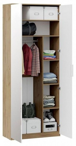 Шкаф платяной Хилтон Исп. 2.1 в Тавде - tavda.mebel24.online | фото 4