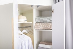Шкаф платяной Куба 1725.М3 в Тавде - tavda.mebel24.online | фото 3